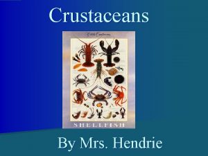 Crustaceans By Mrs Hendrie Crustaceans are members of