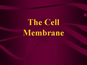 The Cell Membrane Cell Environment Plasma membrane is