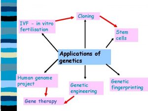 Cloning IVF in vitro fertilisation Stem cells Applications