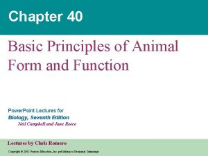 Chapter 40 Basic Principles of Animal Form and