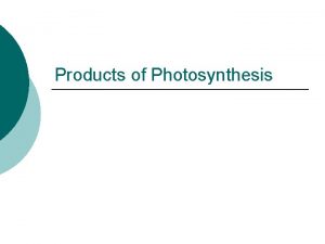 Products of Photosynthesis Fate of Products of Photosynthesis