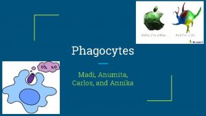 Phagocytes Madi Anumita Carlos and Annika What are