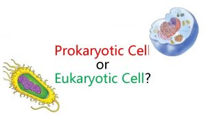 Prokaryotic Cell or Eukaryotic Cell Prokaryotic Cell or