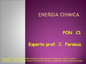 PON C 1 Esperto prof C Formica Immagini