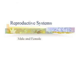 Reproductive Systems Male and Female Male system Scrotum