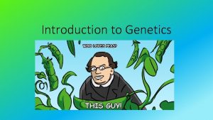 Introduction to Genetics Intro to Genetics Today scientists