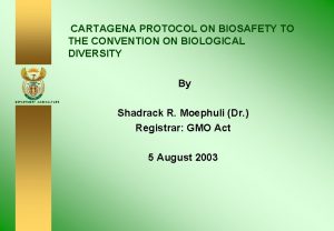 CARTAGENA PROTOCOL ON BIOSAFETY TO THE CONVENTION ON