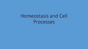 Homeostasis and Cell Processes Homeostasis For your body