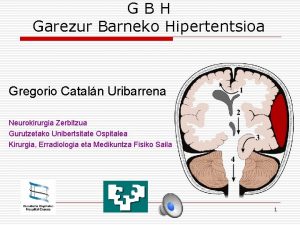 GBH Garezur Barneko Hipertentsioa Gregorio Cataln Uribarrena Neurokirurgia