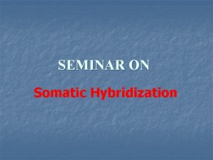 SEMINAR ON Somatic Hybridization SOMATIC HYBRIDIZATION Introduction Definition