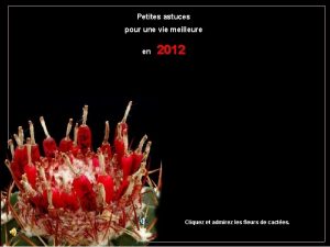 Petites astuces pour une vie meilleure en 2012