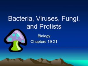 Bacteria Viruses Fungi and Protists Biology Chapters 19