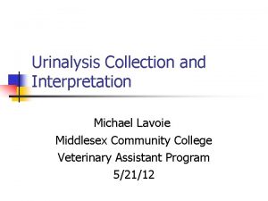Urinalysis Collection and Interpretation Michael Lavoie Middlesex Community
