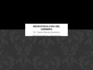 NEUROFISIOLOGA DEL CEREBRO Dr Camilo Moreira Mendoza Medicina