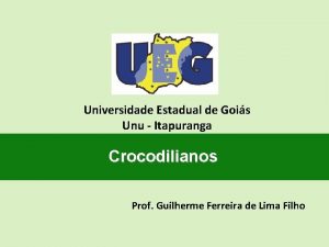 Universidade Estadual de Gois Unu Itapuranga Crocodilianos Prof