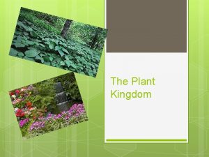 The Plant Kingdom Important Words to Know Bryophytes