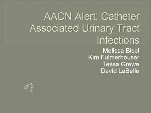 AACN Alert Catheter Associated Urinary Tract Infections Melissa