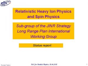 Relativistic Heavy Ion Physics and Spin Physics Subgroup