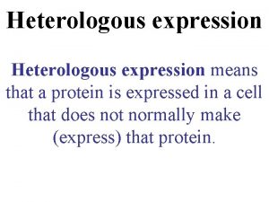 Heterologous expression means that a protein is expressed