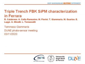 Triple Trench FBK Si PM characterization in Ferrara