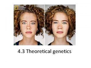 4 3 Theoretical genetics Widows peak Tongue rolling