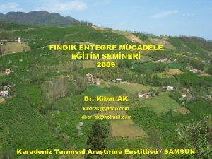 FINDIK ENTEGRE MCADELE ETM SEMNER 2009 Dr Kibar