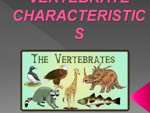 VERTEBRATE CHARACTERISTIC S THE MAIN CHARACTERISTICS OF VERTEBRATES