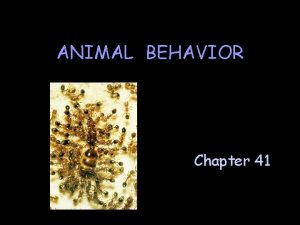 ANIMAL BEHAVIOR Chapter 41 Ethology the study of