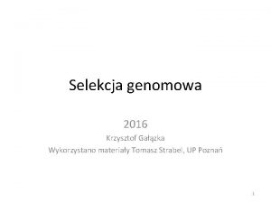 Selekcja genomowa 2016 Krzysztof Gazka Wykorzystano materiay Tomasz