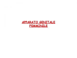 APPARATO GENITALE FEMMINILE Funzioni dellApparato Genitale Femminile Produzione