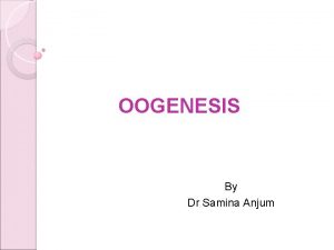 OOGENESIS By Dr Samina Anjum Female Reproductive System