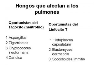 Hongos que afectan a los pulmones Oportunistas del