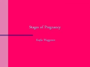 Stages of Pregnancy Kayla Waggoner What is Pregnancy