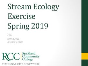 Stream Ecology Exercise Spring 2019 CETL spring 2019