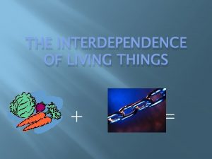 THE INTERDEPENDENCE OF LIVING THINGS Producers Organisms that