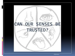 CAN OUR SENSES BE TRUSTED 08012022 WHATS IN