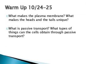 Warm Up 1024 25 What makes the plasma