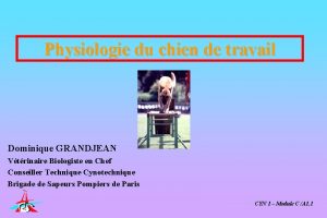 Physiologie du chien de travail Dominique GRANDJEAN Vtrinaire