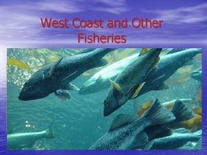 West Coast and Other Fisheries West Coast Fishery