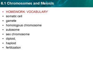 6 1 Chromosomes and Meiosis HOMEWORK VOCABULARY somatic