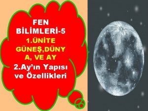 FEN BLMLER5 1 NTE GNE DNY A VE