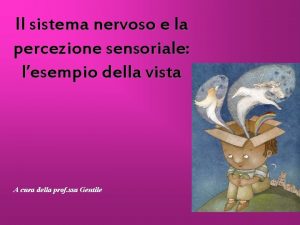 Il sistema nervoso e la percezione sensoriale lesempio