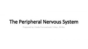 The Peripheral Nervous System Prepared by I Gede