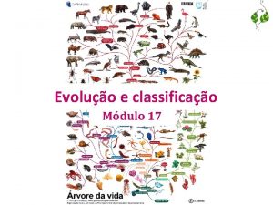 Evoluo e classificao Mdulo 17 Taxonomia x sistemtica