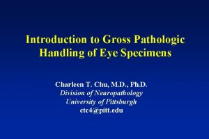 Introduction to Gross Pathologic Handling of Eye Specimens