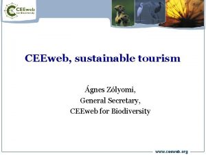 CEEweb sustainable tourism gnes Zlyomi General Secretary CEEweb