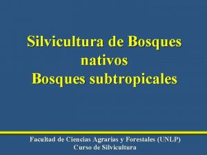 Silvicultura de Bosques nativos Bosques subtropicales Facultad de