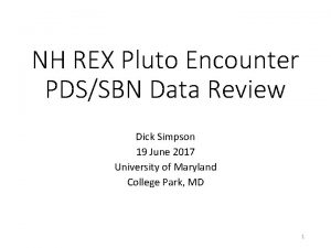 NH REX Pluto Encounter PDSSBN Data Review Dick