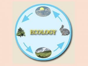 Ecology The study of the interactions between organisms