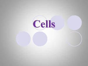 Cells All Cells Similarities l Cell membrane Surrounds